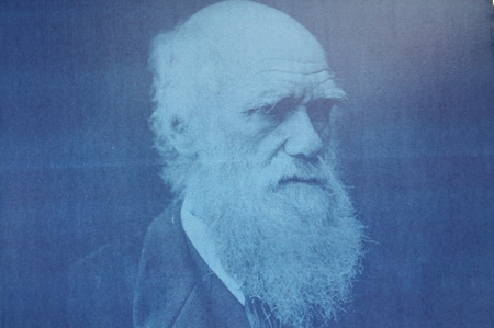 Charles Darwin & die Galapagos Inseln