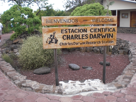 Darwin Station in Puerto Ayora